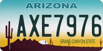 AZ license plate AXE7976