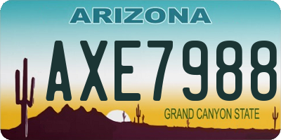 AZ license plate AXE7988