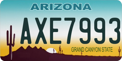 AZ license plate AXE7993