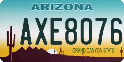 AZ license plate AXE8076
