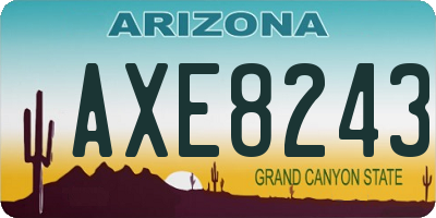 AZ license plate AXE8243