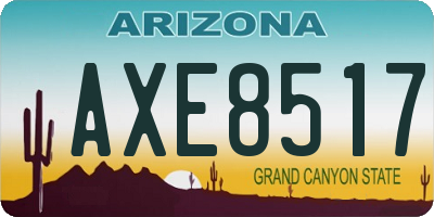 AZ license plate AXE8517