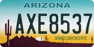 AZ license plate AXE8537