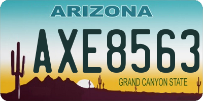 AZ license plate AXE8563