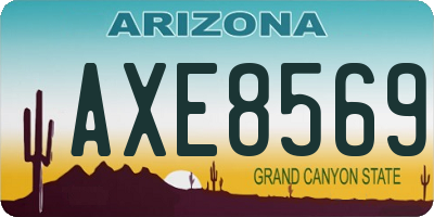 AZ license plate AXE8569