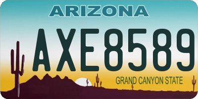 AZ license plate AXE8589