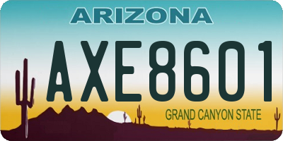 AZ license plate AXE8601