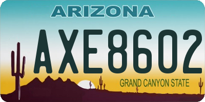 AZ license plate AXE8602