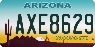 AZ license plate AXE8629
