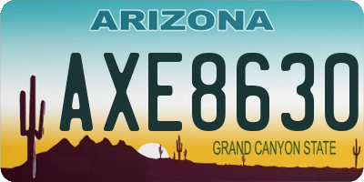 AZ license plate AXE8630
