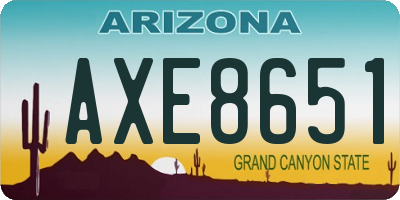 AZ license plate AXE8651