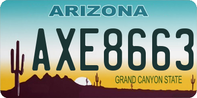 AZ license plate AXE8663