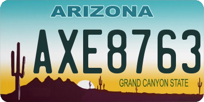 AZ license plate AXE8763