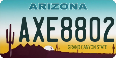 AZ license plate AXE8802