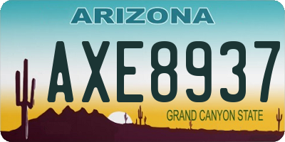 AZ license plate AXE8937