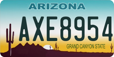 AZ license plate AXE8954