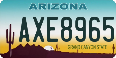 AZ license plate AXE8965