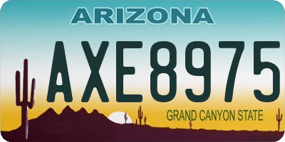 AZ license plate AXE8975