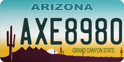 AZ license plate AXE8980
