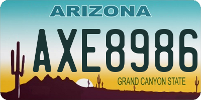 AZ license plate AXE8986