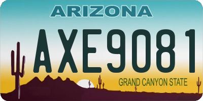 AZ license plate AXE9081