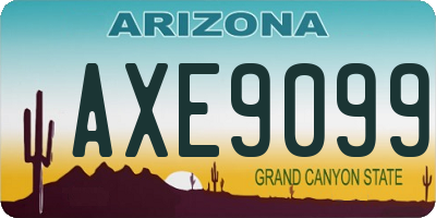 AZ license plate AXE9099