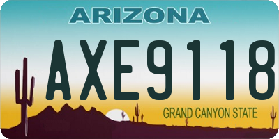 AZ license plate AXE9118
