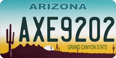 AZ license plate AXE9202