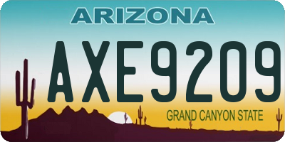 AZ license plate AXE9209
