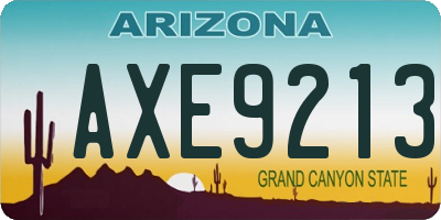 AZ license plate AXE9213