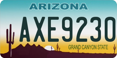 AZ license plate AXE9230