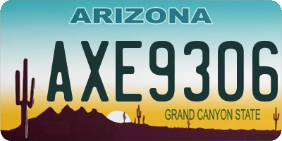 AZ license plate AXE9306