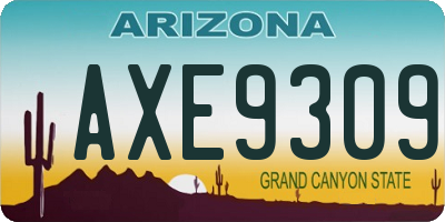 AZ license plate AXE9309