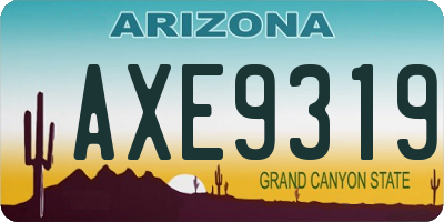 AZ license plate AXE9319
