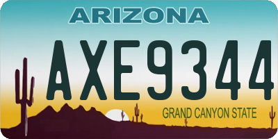 AZ license plate AXE9344