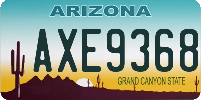 AZ license plate AXE9368