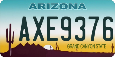 AZ license plate AXE9376