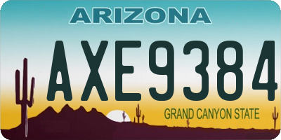 AZ license plate AXE9384