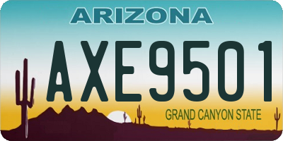 AZ license plate AXE9501