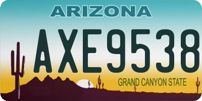 AZ license plate AXE9538