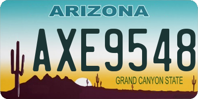AZ license plate AXE9548