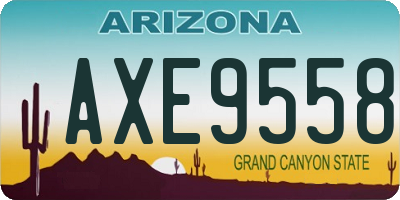 AZ license plate AXE9558