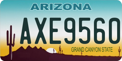 AZ license plate AXE9560
