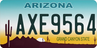 AZ license plate AXE9564