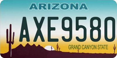 AZ license plate AXE9580