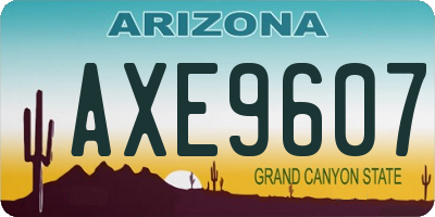 AZ license plate AXE9607