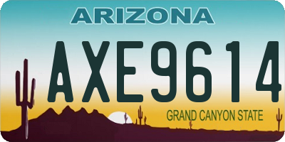 AZ license plate AXE9614