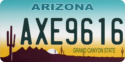 AZ license plate AXE9616
