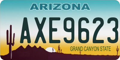 AZ license plate AXE9623