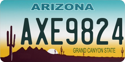 AZ license plate AXE9824